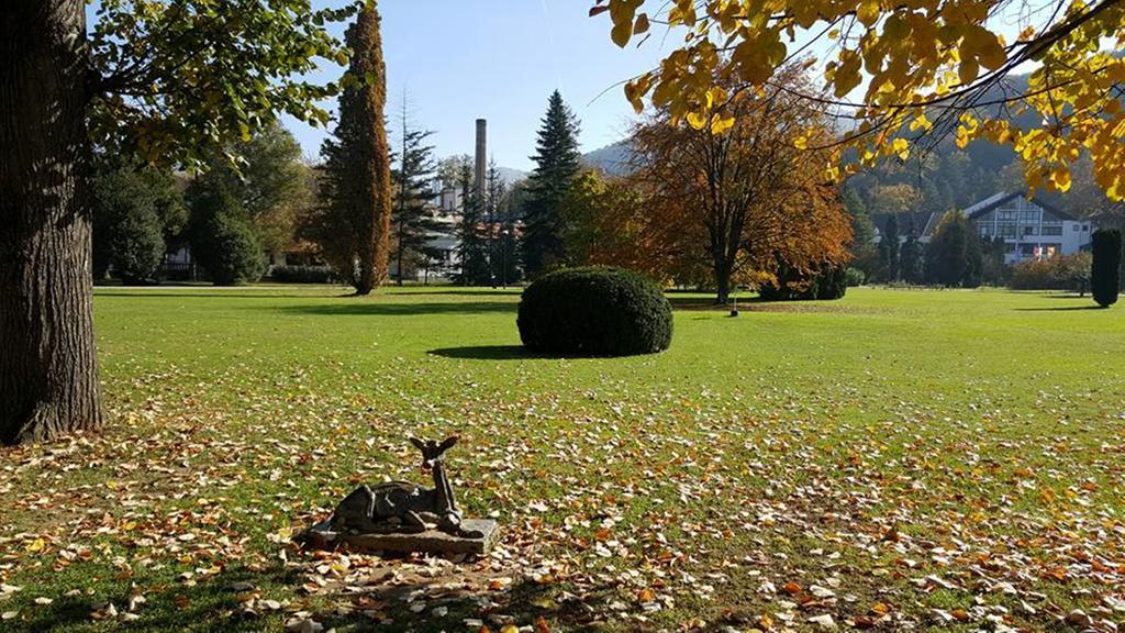Hotel Royal Spa Banja Koviljača Esterno foto