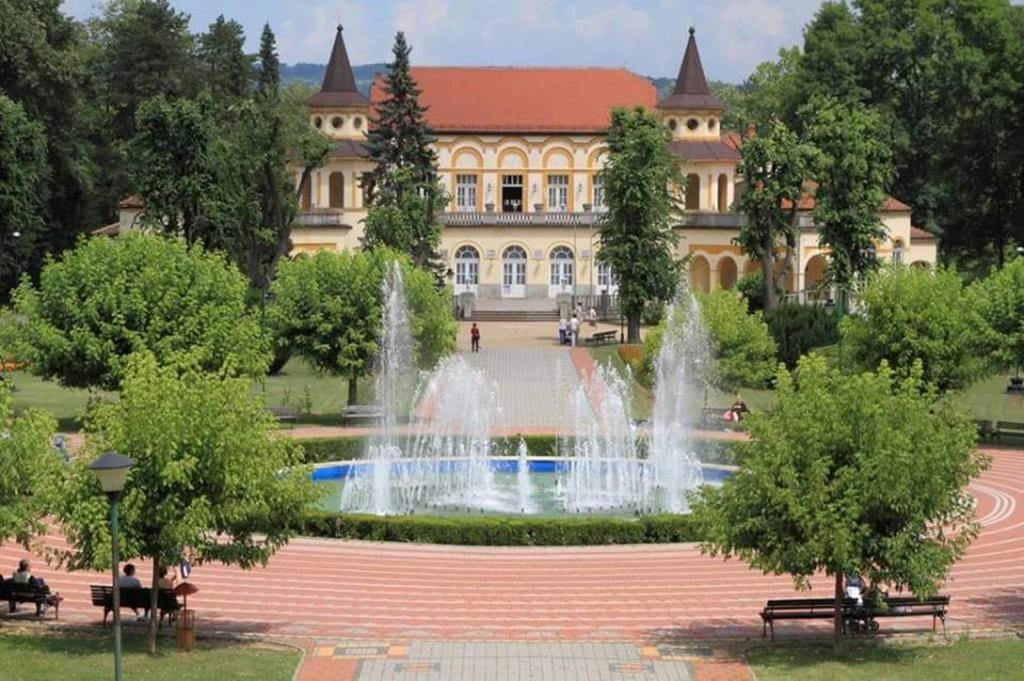 Hotel Royal Spa Banja Koviljača Esterno foto